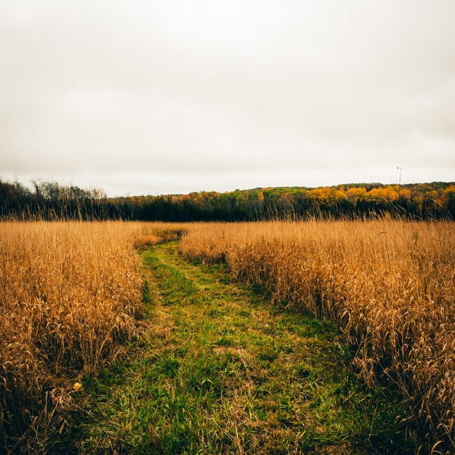 ethan-lackner-3P60V0o24dk-unsplash
